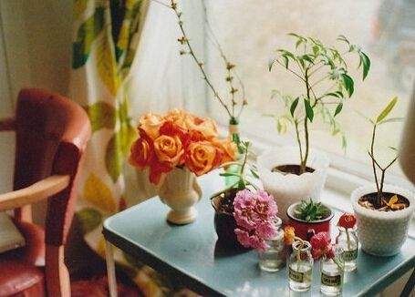 家中擺放花瓶的幾大注意事項(xiàng)